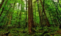 世界短道速滑青训督导制度进入常态化管理，世界短道速滑比赛